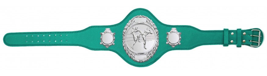 THAI BOXING TITLE BELT - PLT286/S/TBOS-4 COLOURS THAI BOXING TITLE BELT - PLT286/S/TBOS-4 COLOURS